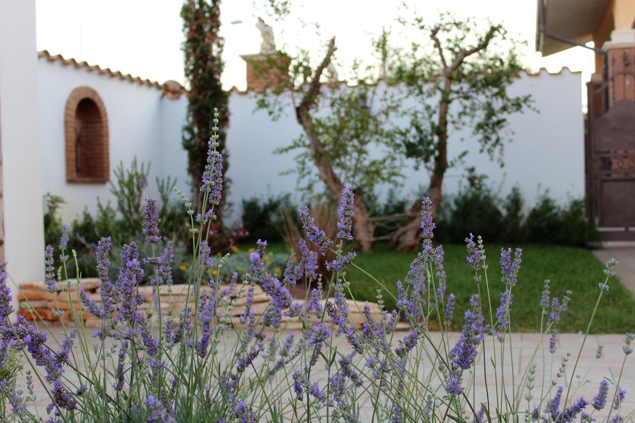 Emotions Bed & Breakfast Fiumicino Eksteriør bilde